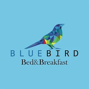 Bed & Breakfast Blue Bird, Cuenca